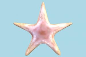 Star Fish Star Fish-2
